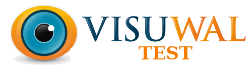 Logo Visuwal Max